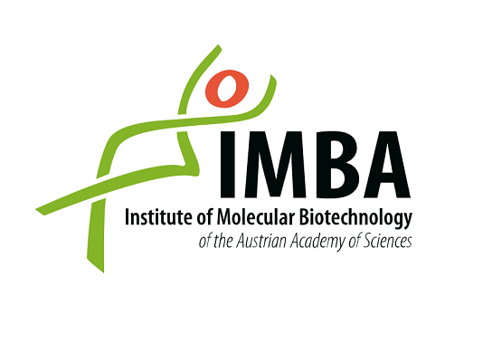 IMBA Logo