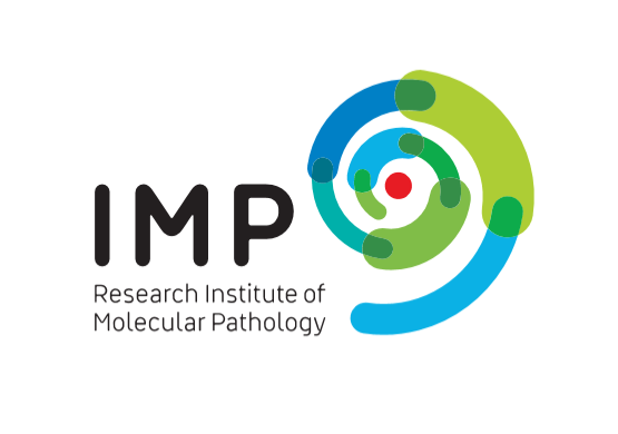 IMP Logo